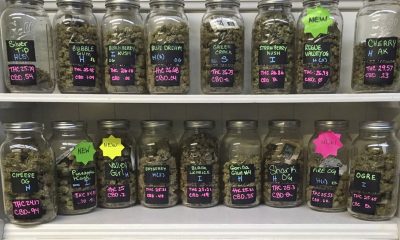Oregon experiences sales soar with decreased marijuana prices