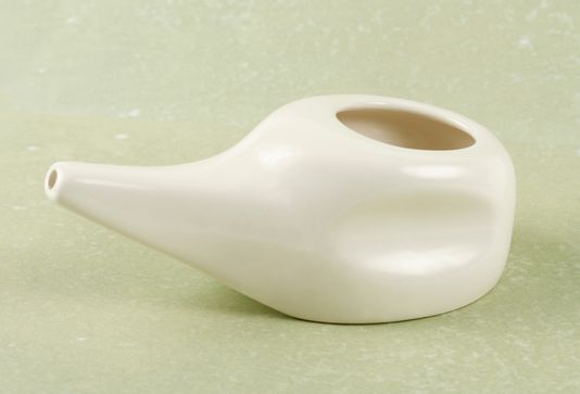 Woman dies from brain-eating amoebas after using neti pot