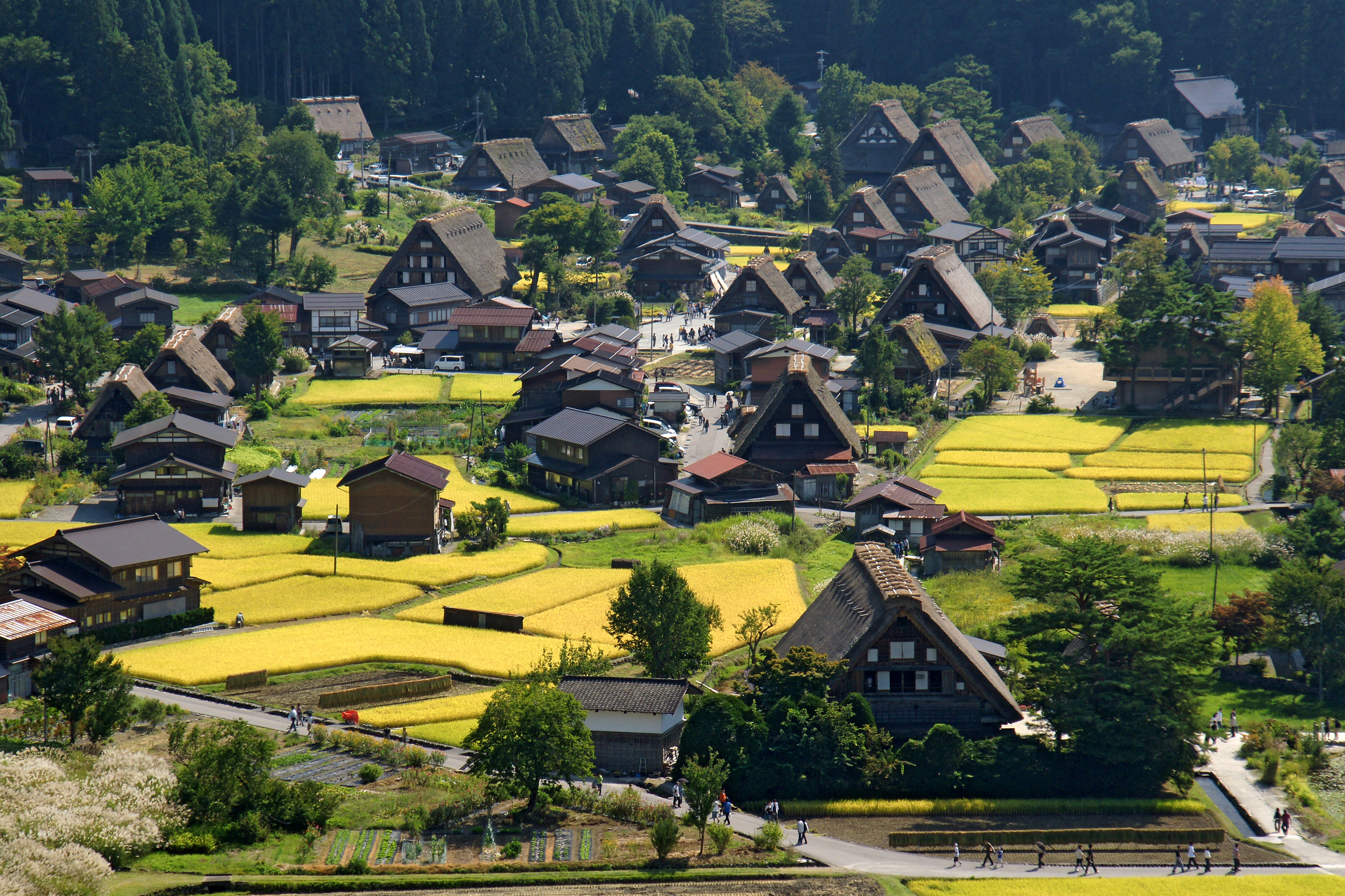 Japan Giving away free Homes in Rural Towns