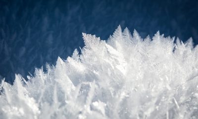 cold temperature increases lifespan - challenged