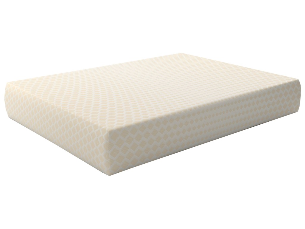 memory foam mattress and bedbugs