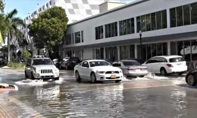 cars in miami drive over sea water that's flooded into streets