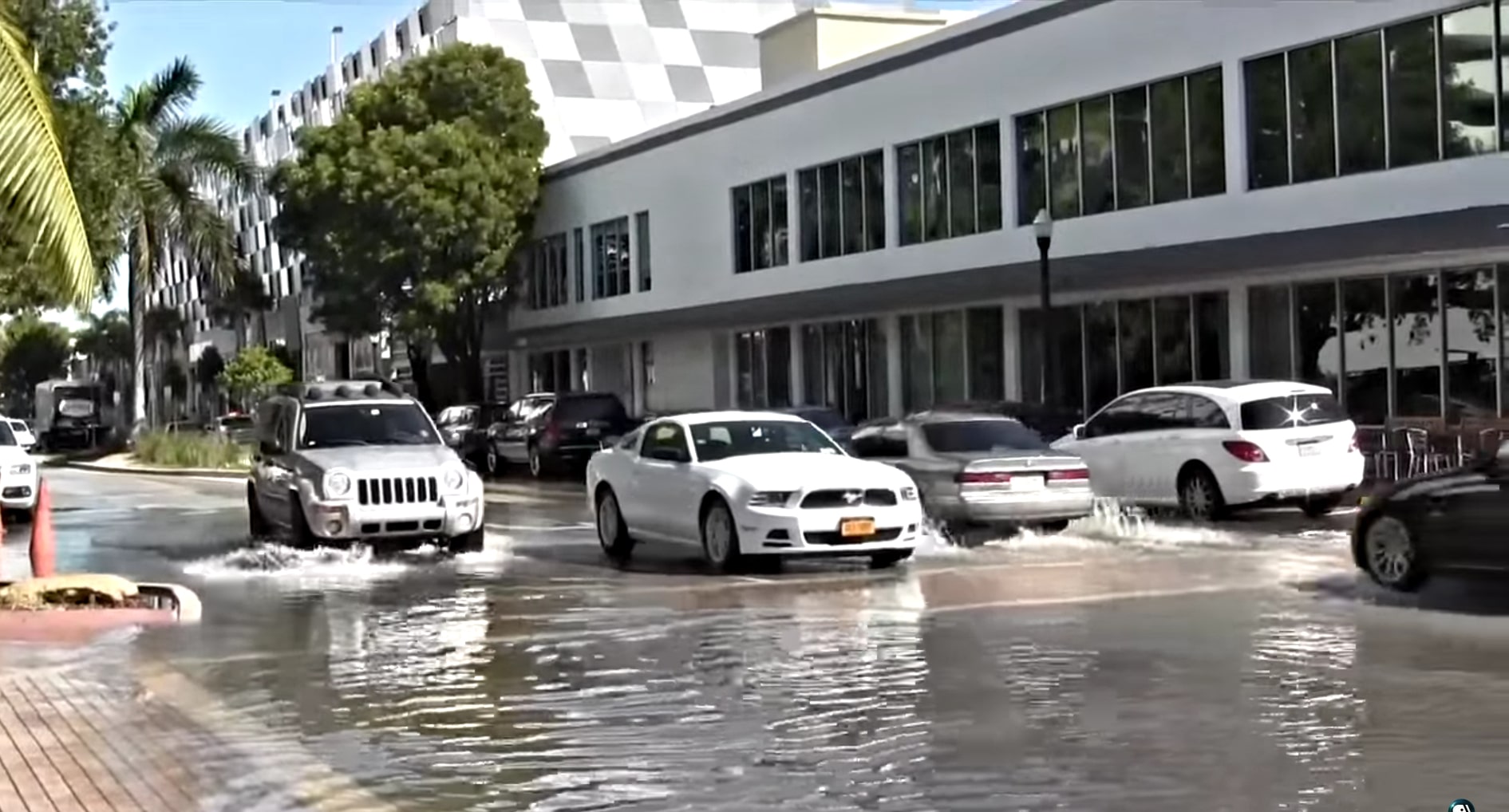 cars in miami drive over sea water that's flooded into streets